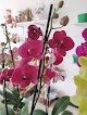 Negocio Arte Y Flor Boutique