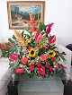 Floristeria Bellas Rosas