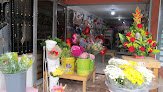 Floristería Caperucita Rosa