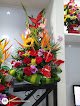 Floristería D' Carlos