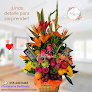Floristería Delfinios