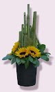 Negocio Floristería Flor De Oro