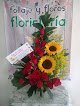 Floristería Follaje Y Flores