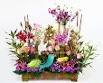 Negocio Floristeria Internacional