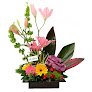 Floristería La Colina En Bogotá, Arreglos Florales Para Toda Ocasión, Arreglos Fúnebres, Venta De Bonsais