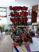 Negocio Floristeria Rosa Mistica