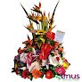 Floristeria Venus
