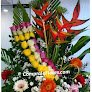 Floristerias Compraleflores Colombia