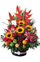 Floristerias Neiva