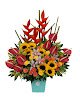 Floristerias Y Flores