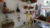 Negocio Ohlala Tienda De Regalos Y Floristería