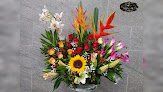 San Jose Floristería