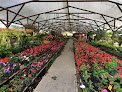Vivero El Paraíso De Las Flores
