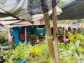 Negocio Vivero El Patio